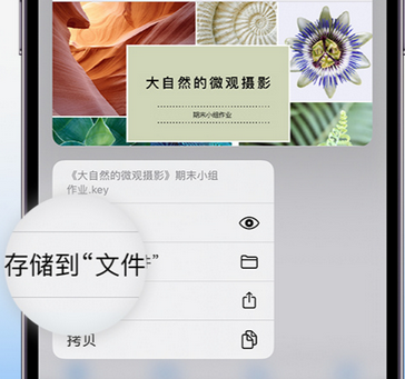 集美apple维修中心分享iPhone文件应用中存储和找到下载文件