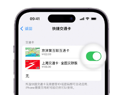 集美apple维修点分享iPhone上更换Apple Pay快捷交通卡手绘卡面 