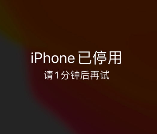 集美苹果手机维修分享:iPhone 显示“不可用”或“已停用”怎么办？还能保留数据吗？ 