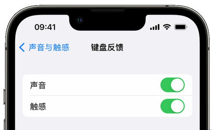 集美苹果手机维修分享iPhone 14触感键盘使用方法 