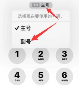 集美苹果14维修店分享iPhone 14 Pro Max使用副卡打电话的方法 