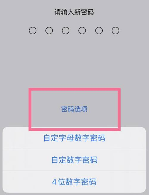 集美苹果14维修分享iPhone 14plus设置密码的方法 