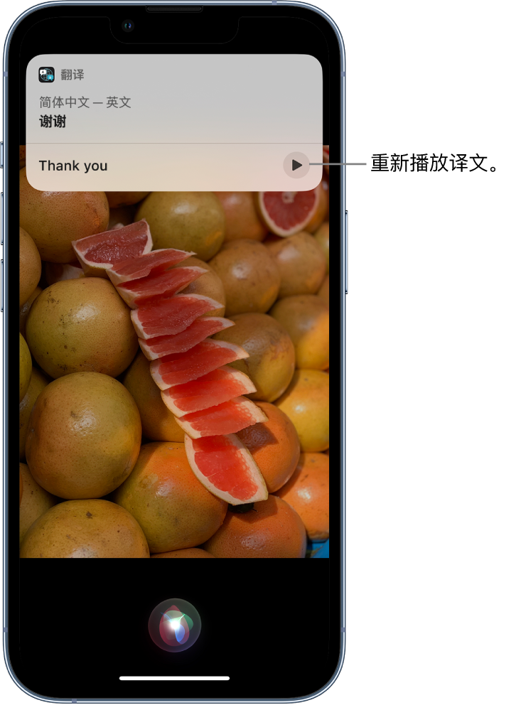 集美苹果14维修分享 iPhone 14 机型中使用 Siri：了解 Siri 能帮你做什么 