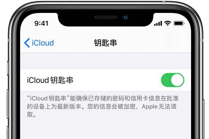 集美苹果手机维修分享在 iPhone 上开启 iCloud 钥匙串之后会储存哪些信息 