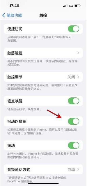 集美苹果手机维修分享iPhone手机如何设置摇一摇删除文字 