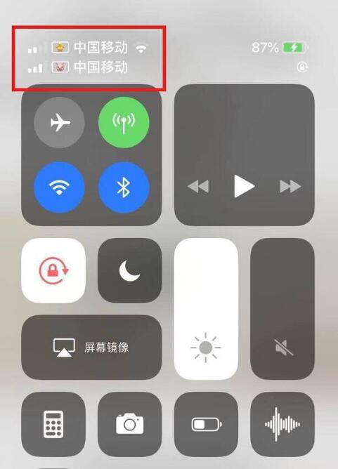 集美苹果手机维修分享为 iPhone 12 双卡设置标签 