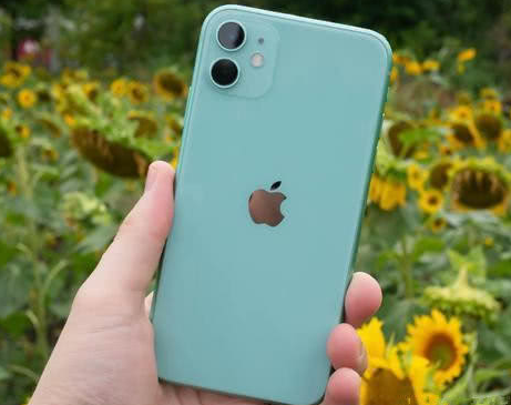 集美苹果维修点分享iPhone 11锁屏密码认知与使用科普 